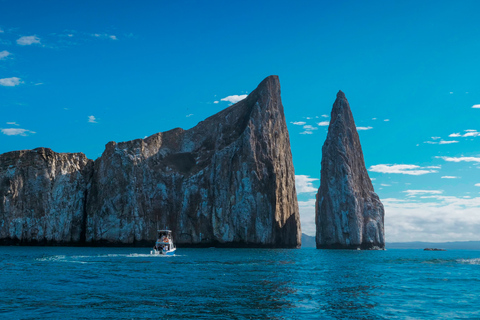 Kicker Rock: Scuba Diving Sightseeing Tour with 2 Dives and Full Gear Kicker Rock: Dive tour with 2 dives and full gear