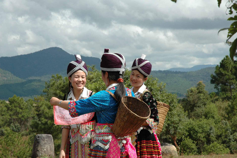 Luang Prabang Private Ganztagestour und Mittagessen