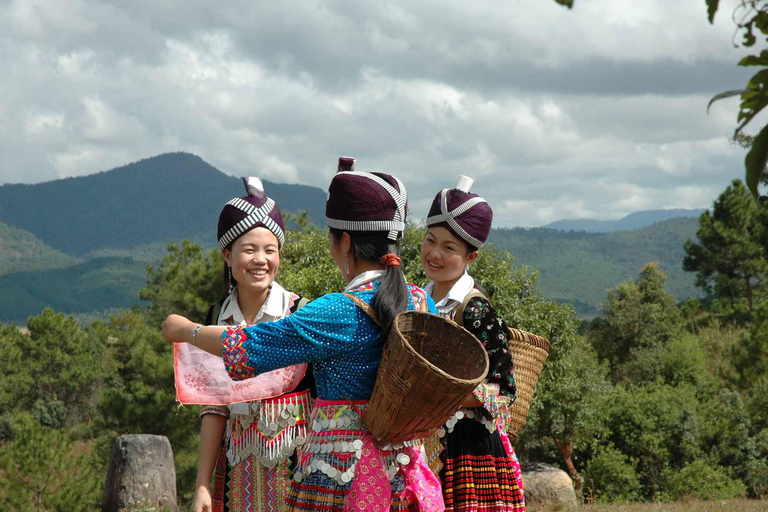 Kuang Si vattenfall, Tree Top Cafe, ziplining och lunch