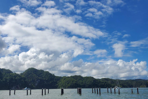 Puerto Plata: Samana, Bacardi Island, and Los Haitises Tour