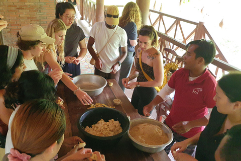 Siem Reap: Small Group Tour of Kulen Elephant Forest