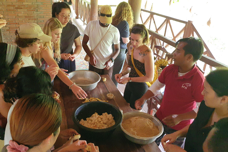 Siem Reap: Smågruppstur till Kulen Elephant Forest