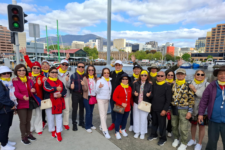 Hobart Attractions Bus: HOBART SHORE EXCURSION 2025