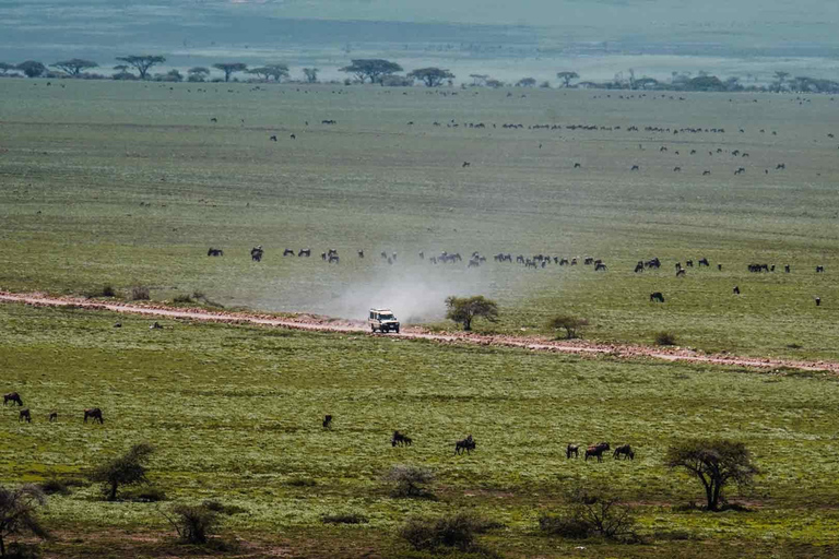 Arusha: Private 3-Day Serengeti Migration Trip