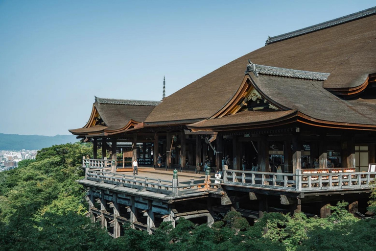 Maizuru: Shore Excursion for Cruise Guests（Private/Group） Litinerary A: Kyoto City Tour(small group)