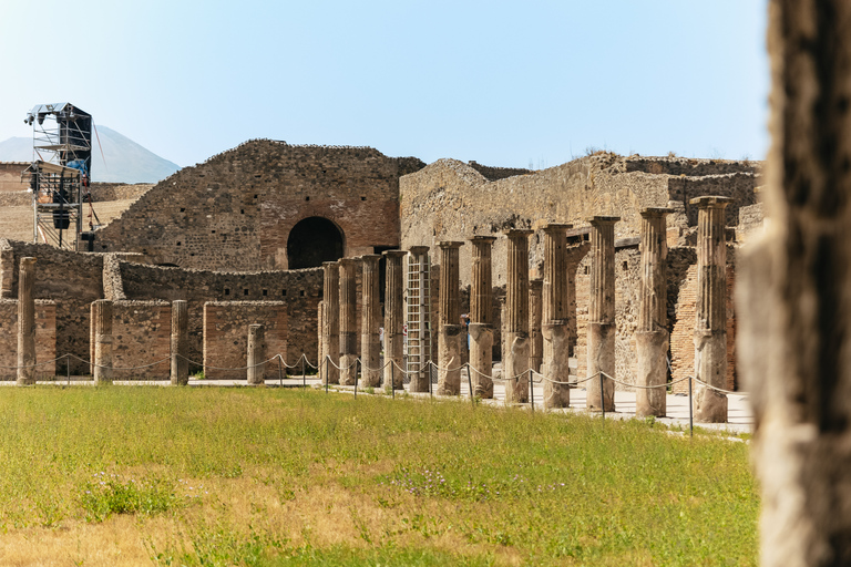 Vanuit Rome: Dagtrip Pompeii en de Vesuviusberg met lunchPompeii & Vesuvius met kegelwandeling