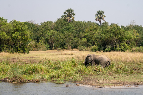 Kampala: 3-Day Murchison Falls National Park Safari