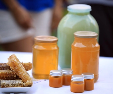 Goris: Beekeeping Traditions & Beeswax Balm Making Workshop