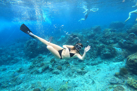 Nusa Penida: Ganztägiges Schnorcheln mit Manta-Rochen am Manta PointSchnorcheln und Westland Tour (Treffpunkt - Penida Port)