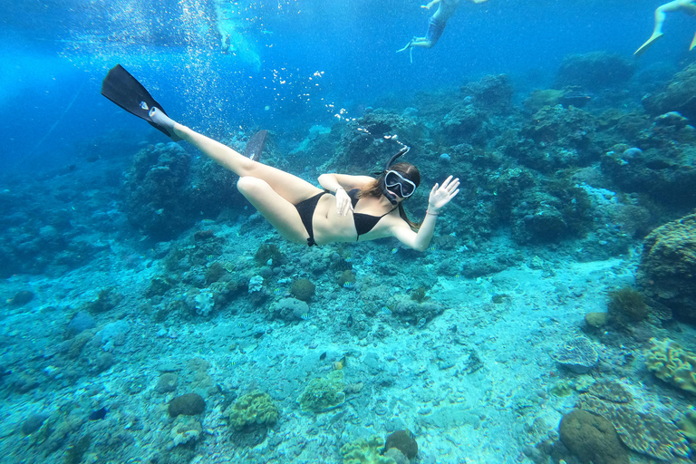 Nusa Penida: Ganztägiges Schnorcheln mit Manta-Rochen am Manta PointSchnorcheln und Westland Tour (Treffpunkt - Penida Port)