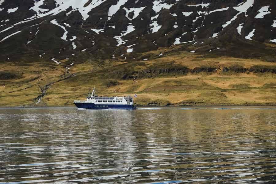 Seyðisfjörður: Natur- und Wildtierfahrt. Foto: GetYourGuide Seyðisfjörður: Natur- und Wildtierfahrt. Foto: GetYourGuide
