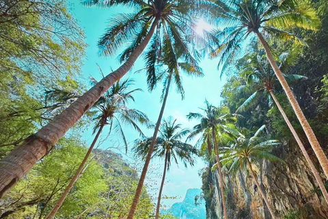 Krabi: Private Luxury Boat to Hong Islands Sunrise & Picnic Half Day : Afternoon Tour