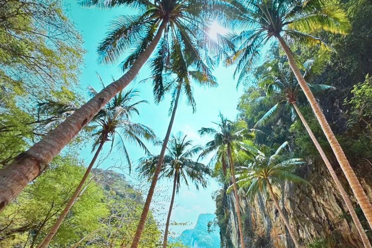 Krabi: Private Luxury Boat to Hong Islands Sunrise & Picnic Half Day : Afternoon Tour