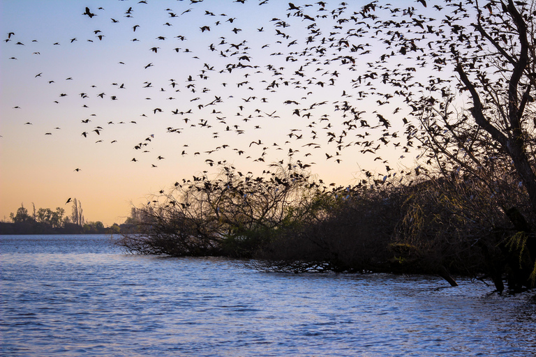 Valada: 1 hour boat trip, guided tour