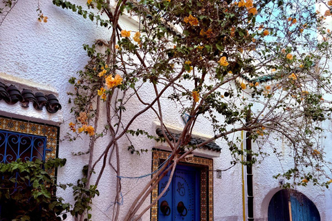 Tunis: Medina & Bardo Museum Private Tour with Tickets