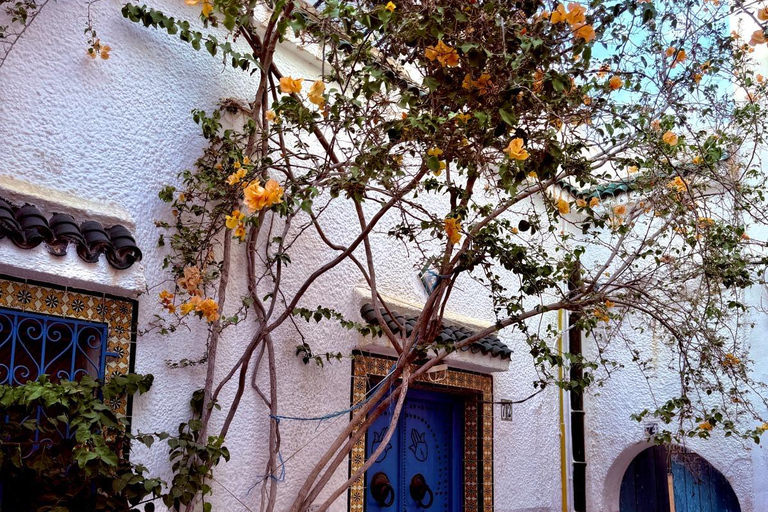 Tunis: Medina & Bardo Museum Private Tour with Tickets