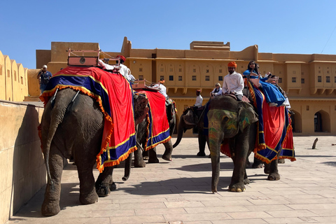 Day Trip from Delhi to Jaipur by Car with a Language Guide