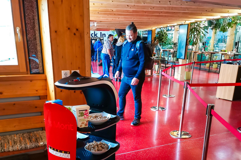 Zagreb: Graz & Zotter Chocolate Factory Private Tour