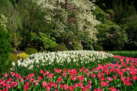 Vancouver: Victoria and Butchart Gardens Day Trip