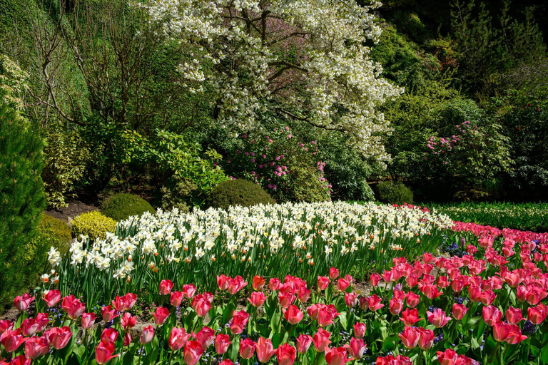 Vancouver: Victoria and Butchart Gardens Day Trip