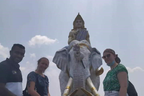 Sigiriya: Kruidentuin, Sigiriya Rots en Dambulla Tour