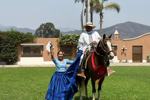 From Lima: Peruvian Paso Horse Show with Lunch and Traditional Dances From Lima, a Peruvian Paso Horse Show with lunch and traditional dances