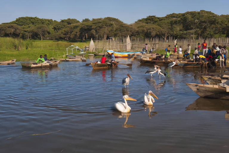 Addis Abeba: 2-dniowa wycieczka do Awassa, jeziora Ziway i Wondo Genet