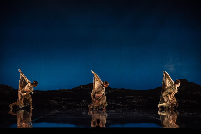 Bangarra Dance Theatre at the Sydney Opera House Premium – Circle