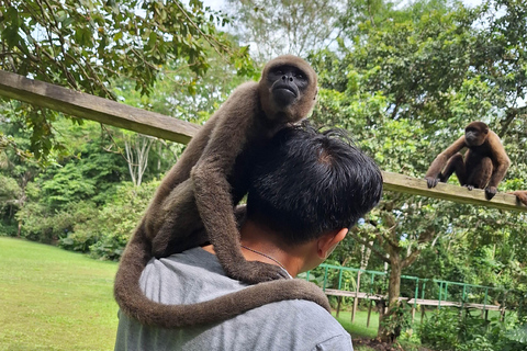 Iquitos: Ganzer Tag | Besuch der Affeninsel (offiziell)