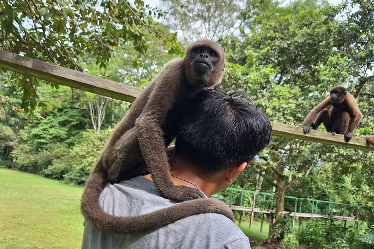 Iquitos: Hele dag | Bezoek aan Apeneiland (officieel)