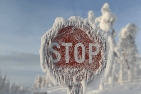 Levi: 4 timmars snöskotersafari till fjällen i Levi