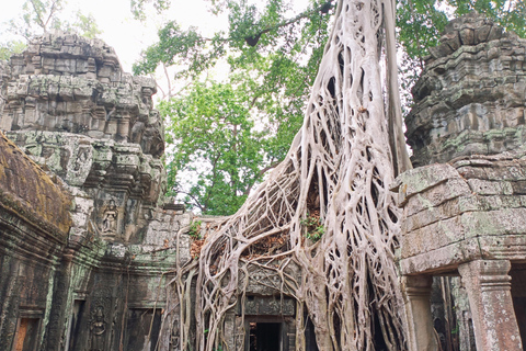 Siem Reap: Angkor Wat and Banteay Srei Temple Day Tour