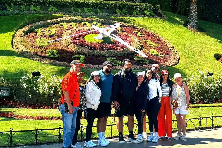 Viña del Mar and Valparaiso: Private Tour