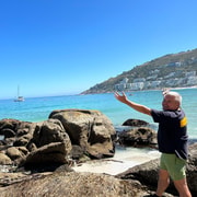 Ultimate Cape Town Penisula Overview Tour | GetYourGuide