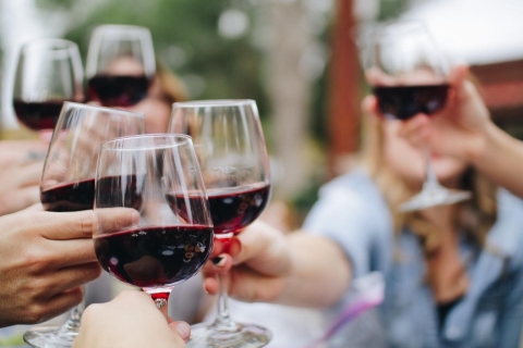 Desde Sesimbra: tour de degustación de vinos y cultura de Arrábida de día completo
