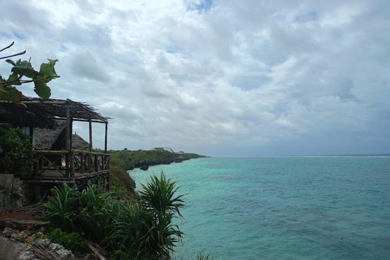 JOZANI FOREST/SEA TURTLE SANCTUARY/MTENDE BEACH