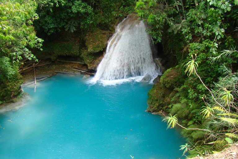 Montego Bay: Blue Hole, Secret Falls, and Dunn's River Tour