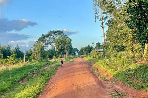 Mombasa: Nguuni Wildlife Walk & Mijikenda Village Experience