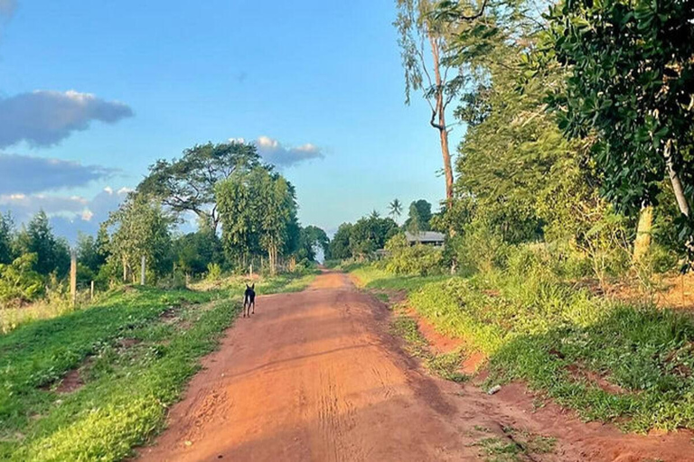 Mombasa: Nguuni Wildlife Walk & Mijikenda Village Experience