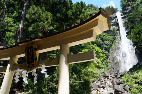 Kumano Kodo & Kumano Sanzan One-Day Tour from Osaka