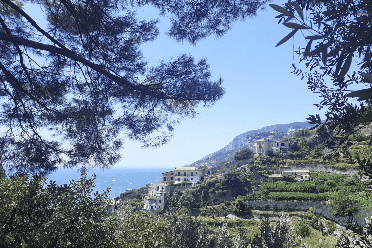 Costiera Amalfitana: tour a piedi guidato tra i limoni da Maiori