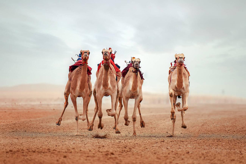 Doha: Museo del Jeque Faisal y Circuito de Carreras de Camellos de Shahaniya