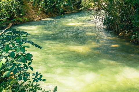 Excursión de un día en balsa de bambú por el río Martha Brae y safari por el pantanoDesde Montego Bay