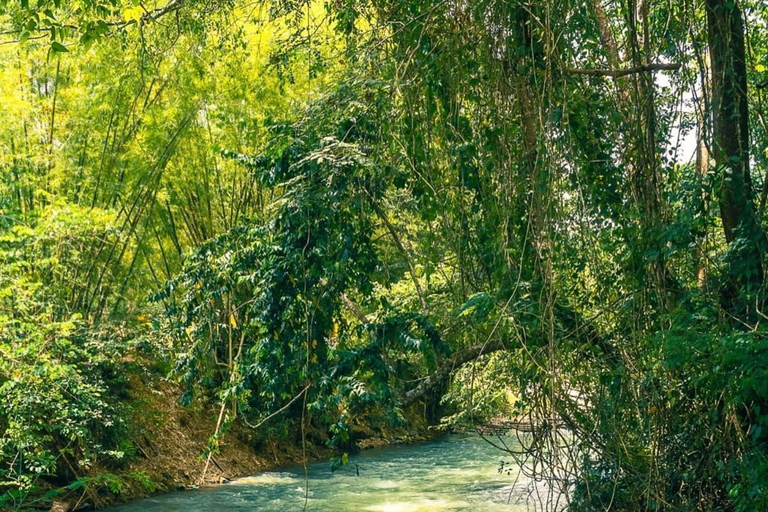 Excursión de un día en balsa de bambú por el río Martha Brae y safari por el pantanoDesde Montego Bay