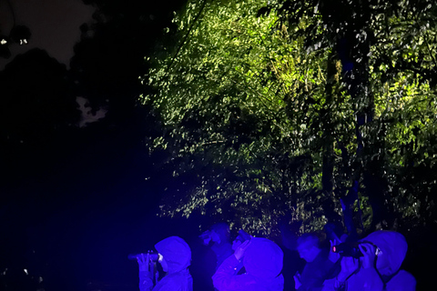 Monteverde: Night Tour with Night Vision Goggles