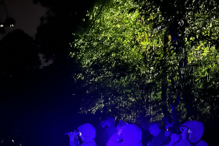 Monteverde: Night Tour with Night Vision Goggles