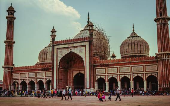 Delhi: Alt- und Neu-Delhi Private geführte Tour in 4 oder 8 Stunden