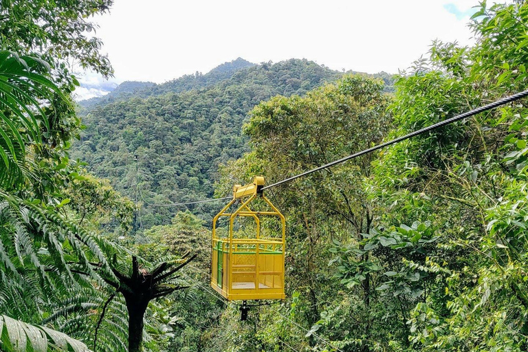 Mindo: Waterfalls, Chocolate, and Birdwatching Day Tour MINDO 360