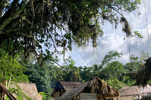 Cahuita National Park+Bribri Chocolate Tour+Waterfalls Tour+Lunch