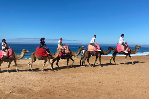 From Cádiz: Tangier Day Trip with Ferry, Lunch & Local Guide